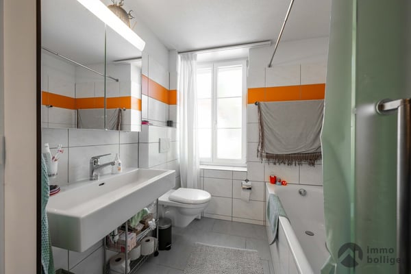 Wohnen, Gewerbe, Bauland - Rendite mit Potenzial in Reitnau 11
