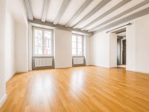 Appartement de 4.5 pièces avec voutes apparentes 2