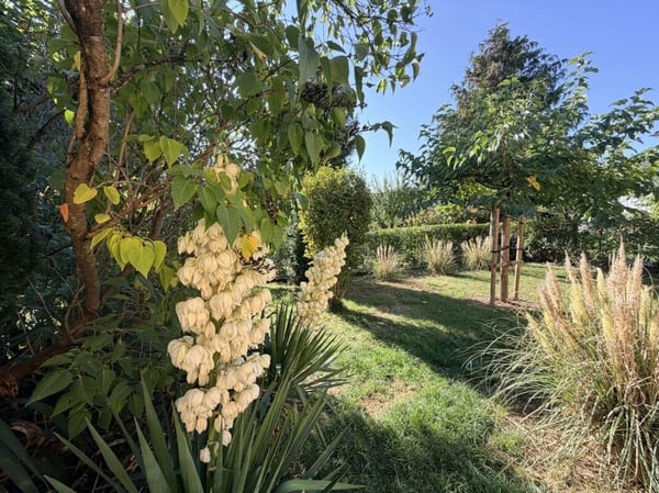 Maison individuelle de 5.5 pièces avec cheminée et jardin 8