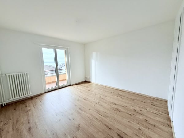 VUE SUR LE LAC ET QUARTIER PAISIBLE : VOTRE NOUVEAU 3.0 PIÈCES RÉNOVÉ 2