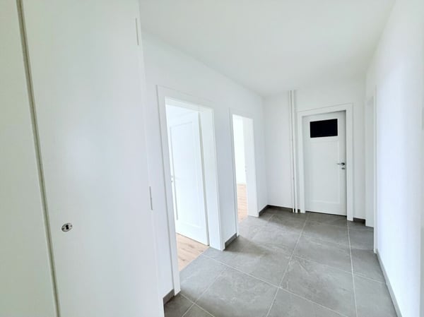 VUE SUR LE LAC ET QUARTIER PAISIBLE : VOTRE NOUVEAU 3.0 PIÈCES RÉNOVÉ 5