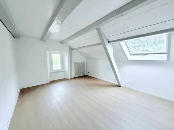 APPARTEMENT DE 3.5 PIÈCES ENTIÈREMENT RÉNOVÉ AVEC TERRASSE ET VUE SUR LA VALLÉE 3