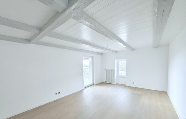 APPARTEMENT DE 3.5 PIÈCES ENTIÈREMENT RÉNOVÉ AVEC TERRASSE ET VUE SUR LA VALLÉE 2