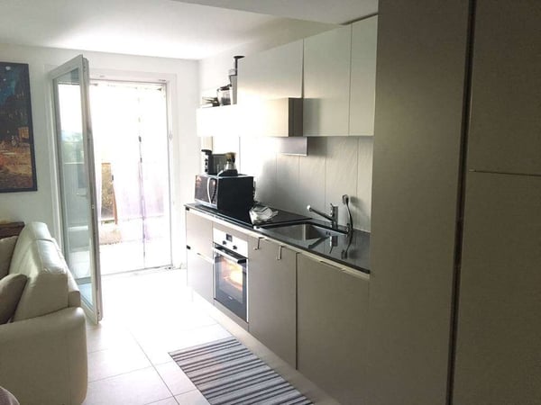 Charmant appartement de 1 pièces avec grande terrasse et vue sur le lac 2