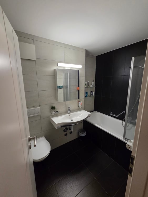 Charmant appartement de 1 pièces avec grande terrasse et vue sur le lac 10