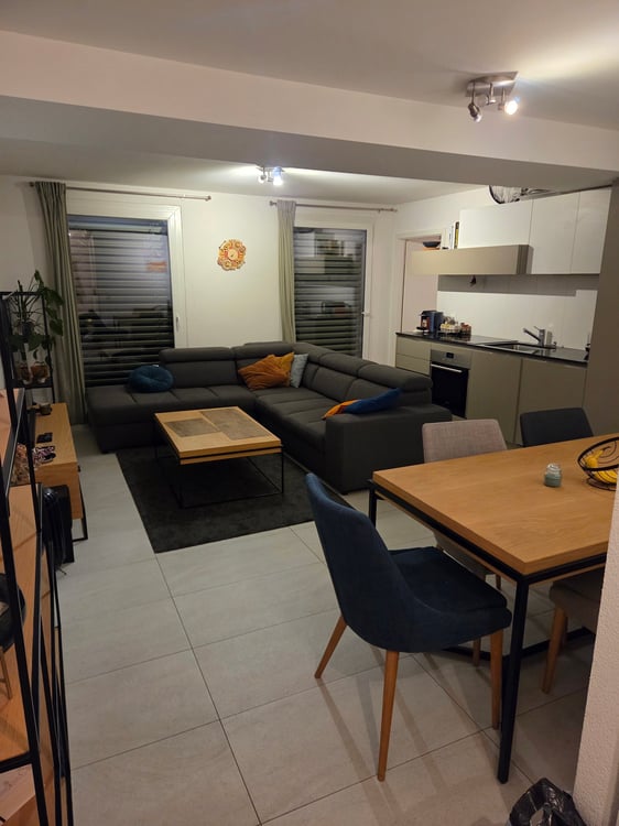 Charmant appartement de 1 pièces avec grande terrasse et vue sur le lac 5