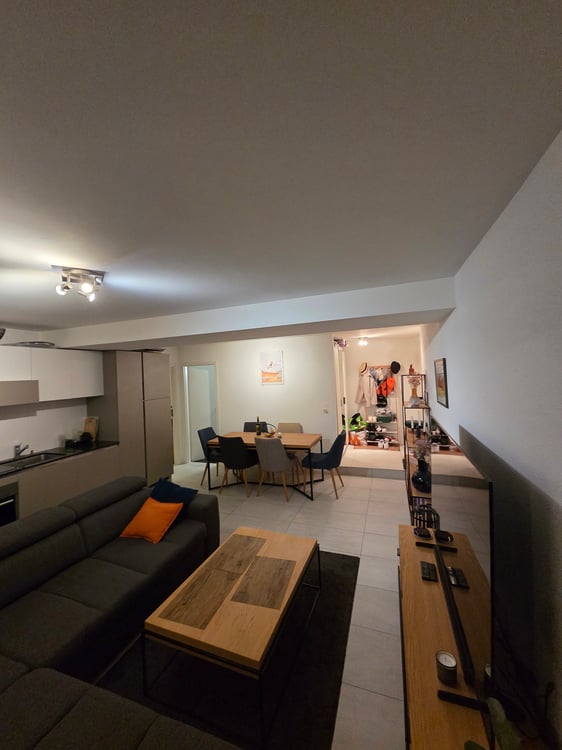 Charmant appartement de 1 pièces avec grande terrasse et vue sur le lac 4