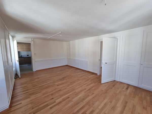 Grand appartement rénové de 4 pièces au centre du village 3
