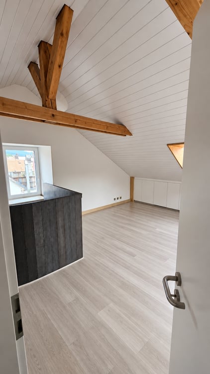 Grand appartement de 2,5 pièces en duplex entièrement rénové 5