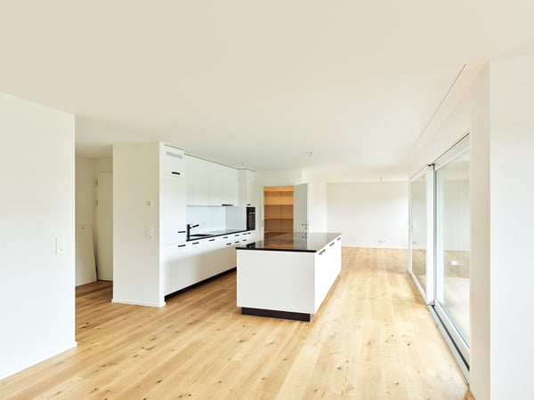 Spacieux logement neuf de 4.5 pièces avec grand balcon 1