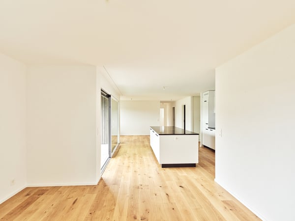 Spacieux logement neuf de 4.5 pièces avec grand balcon 2