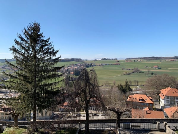 Bel appartement de 3,5 pièces en ville de Romont 9
