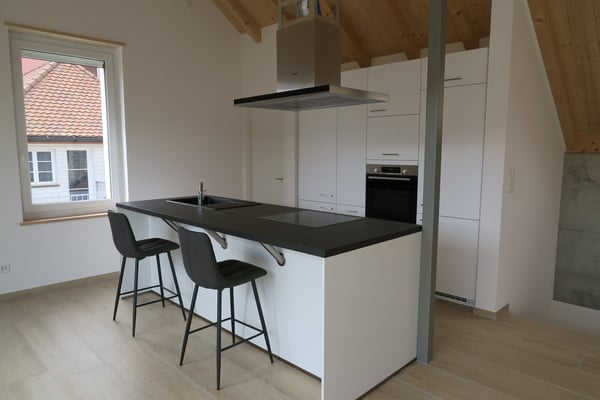 Superbe duplex de 3.5 pièces à louer au 1er étage 1