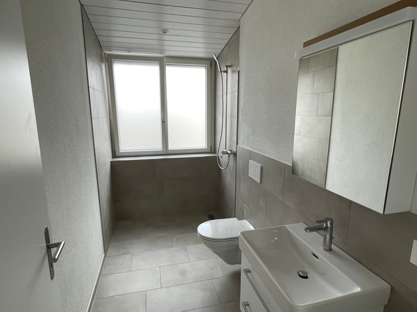 Exklusive 3.5-Zimmer-Attikawohnung mit direktem Liftzugang 7