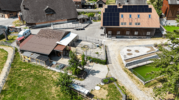 Leben mit Pferden - Exklusive Liegenschaft mit hochwertigem Wohnkomfort und Pferdeinfrastruktur 22
