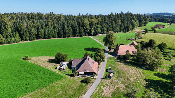 Ehemaliges Bauernhaus - ländliches Wohnen mit Charakter 5
