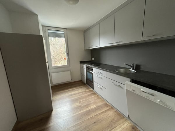 Diverse Wohnungen und Zimmer zu vermieten 8