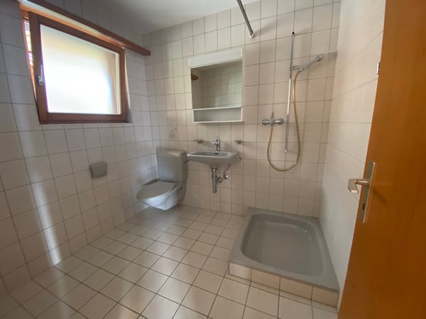 Charmantes Studio mit Seeblick in Brienz 7