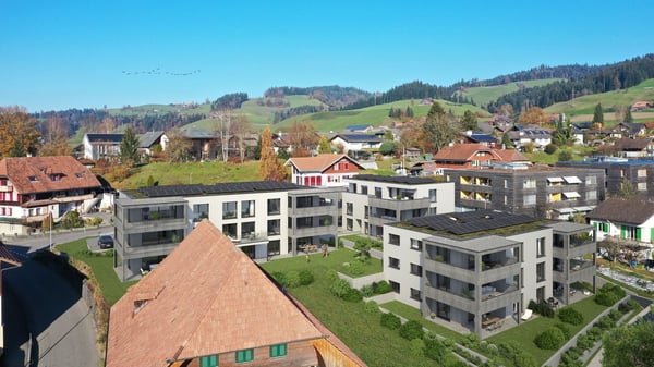 Letzte 1.5-Zimmer-Gartenwohnungen in der Wohnüberbauung „Zollbrück Zentral“ ... 7