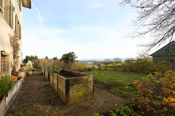 Charmantes 2-Zimmer-Haus in idyllischer Umgebung 5