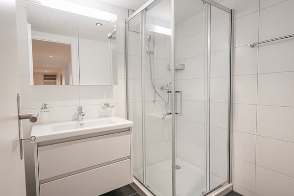 Attraktive, kernsanierte Wohnung inmitten von Wohlen 7