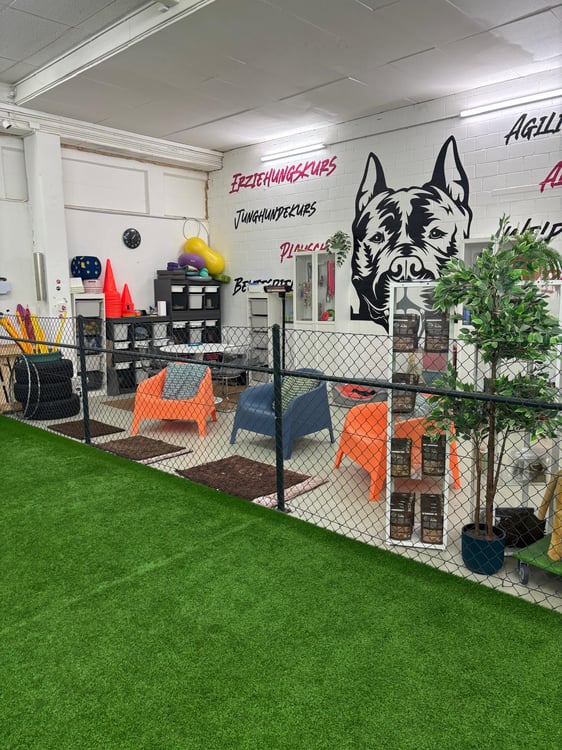 Vielseitige Gewerbefläche in Sirnach zu vermieten 3