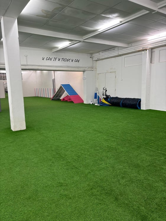 Vielseitige Gewerbefläche in Sirnach zu vermieten 2