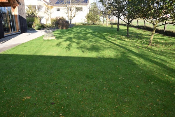 Minergie-Einfamilienhaus mit Solaranlage an naturnaher Lage 6