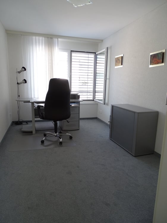 Moderne 4.5-Zimmer-Wohnung mit Balkon in Altstaetten SG 11