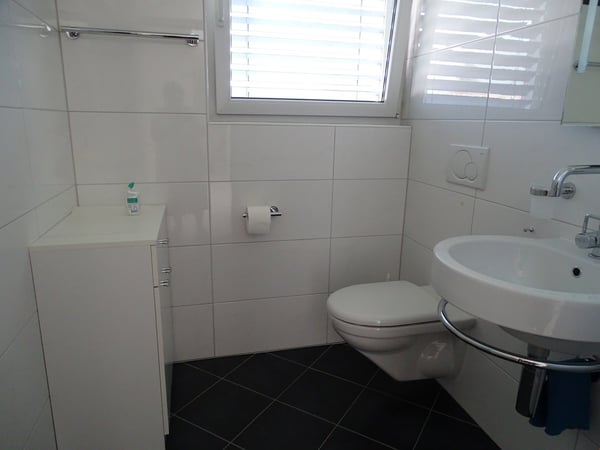 Moderne 4.5-Zimmer-Wohnung mit Balkon in Altstaetten SG 9