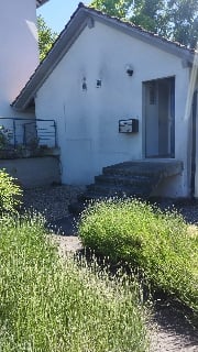 Charmante 2.5-Zimmer-Dépendence-Wohnung in ruhiger Lage in Sugiez 5