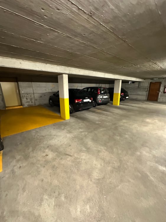 Geräumige 4.5-Zimmer Wohnung mit Riesen…