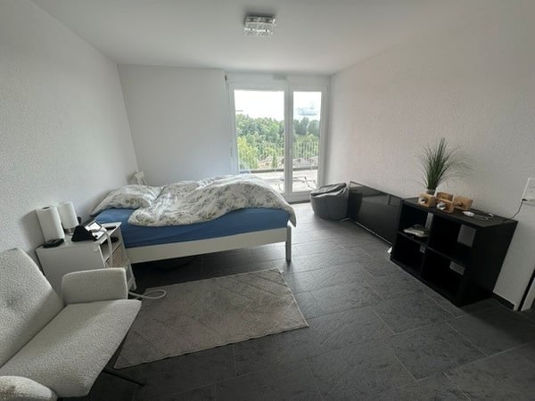 Traumhafte Attika-Wohnung in Döttingen 12