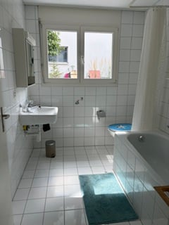 Wohnen mit Weitblick: Grosszügiges 5.5-Zimmer-Doppel-Einfamilienhaus mit Garten 9