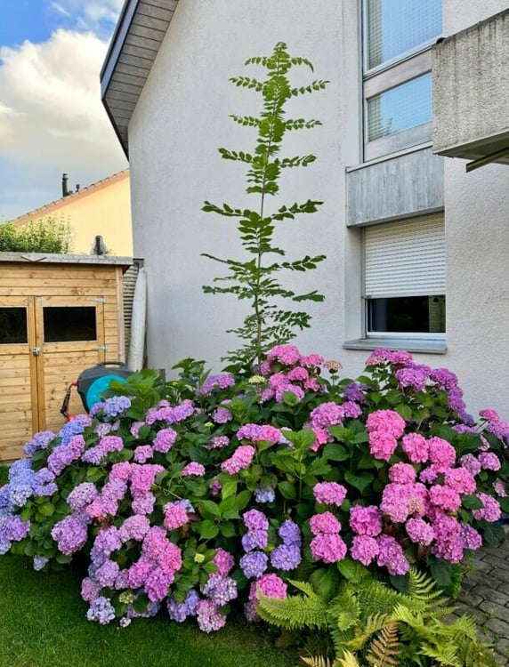 Reihenhaus mit Gartenoase - Zuhause in Zollikofen 23