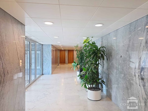 Appartement de 5.5 pièces avec belle vue sur le lac 2