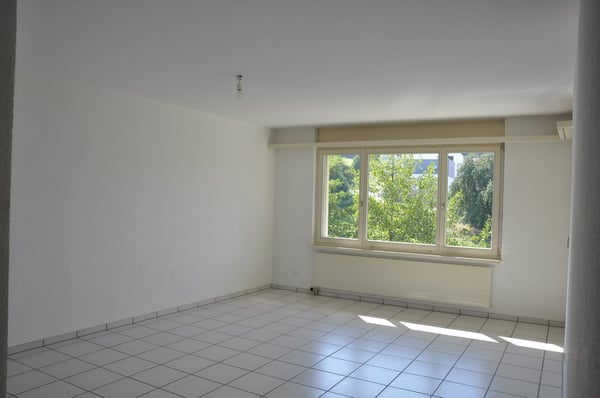 Grosszügige ruhige Duplex Dachwohnung mit Abendsonne 8