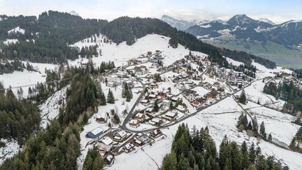 Einzigartiges Bauland  mit bestehendem Ferienhaus am Mostelberg Sattel - mit Blick auf Wiesen & Wald 15
