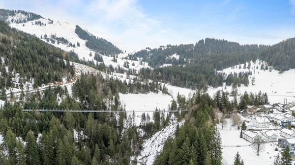 Einzigartiges Bauland  mit bestehendem Ferienhaus am Mostelberg Sattel - mit Blick auf Wiesen & Wald 14