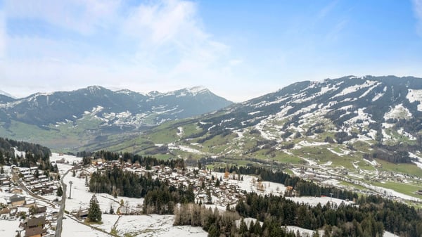 Einzigartiges Bauland  mit bestehendem Ferienhaus am Mostelberg Sattel - mit Blick auf Wiesen & Wald 1