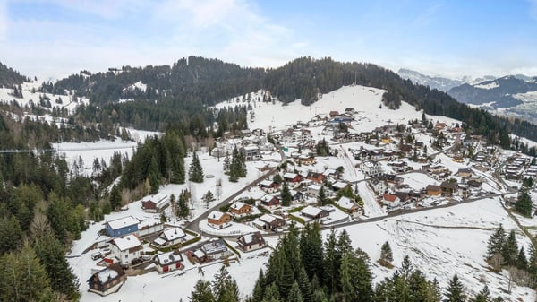 Einzigartiges Bauland  mit bestehendem Ferienhaus am Mostelberg Sattel - mit Blick auf Wiesen & Wald 2