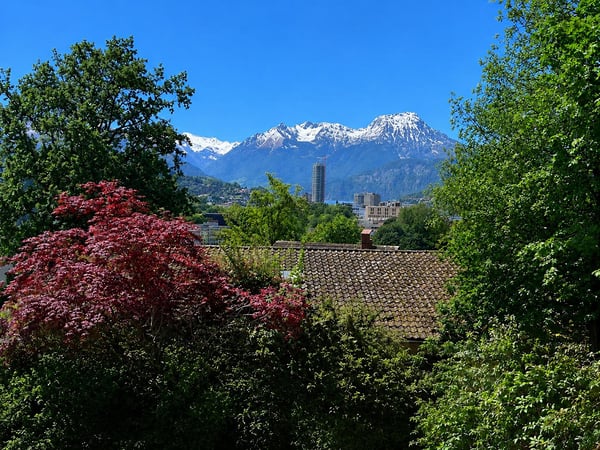 Grosse 3.5-Zimmer-Maisonettewohnung mit 80m2 Terrasse & Abendsonne 1