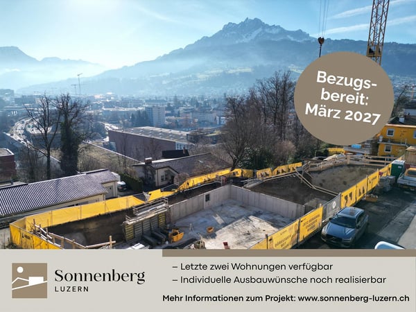 Grosse 3.5-Zimmer-Maisonettewohnung mit 80m2 Terrasse & Abendsonne 6