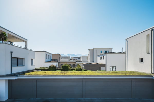 Modernes 6.5-Zimmer-Einfamilienhaus mit Blick in die Alpen 11