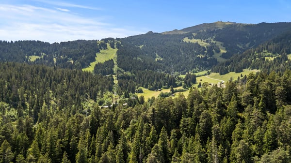 Charmante 3.5-Zimmer-Terrassenwohnung mit Ski-In/Ski-Out in Laax 8