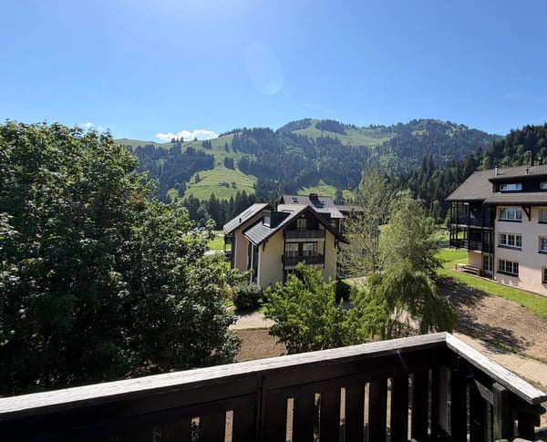 MOLESON | APPARTEMENT 3.5 p en duplex 7