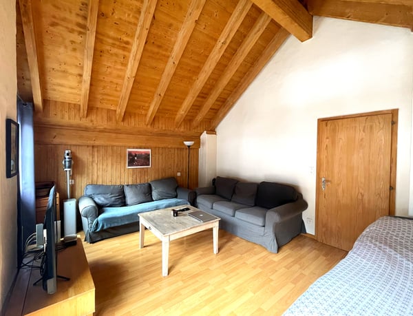 MOLESON | APPARTEMENT 5.5 p 6