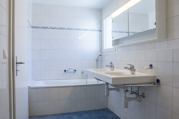 Spacieux appartement de 1½ pièces situé dans un cadre verdoyant 9