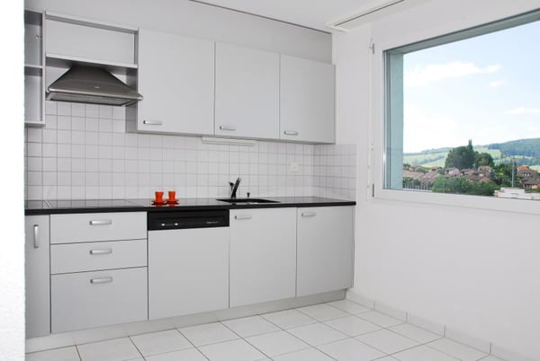 Magnifique appartement de 4.5 pces, proche de toutes les commodités 2