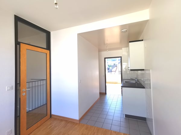 Splendide logement en duplex à deux pas de Rive 2